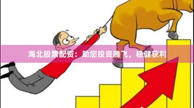 海北股票配资：助您投资腾飞，稳健获利