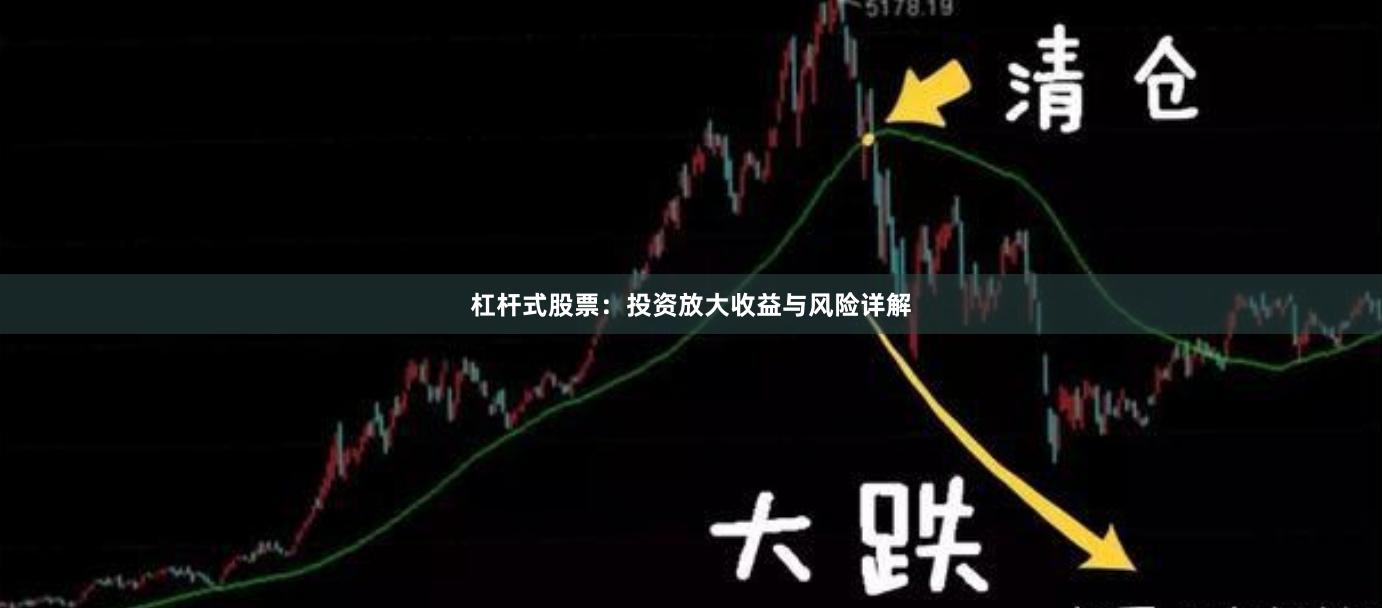 杠杆式股票：投资放大收益与风险详解