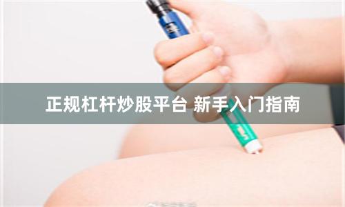 正规杠杆炒股平台 新手入门指南