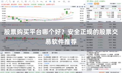 股票购买平台哪个好?安全正规的股票交易软件推荐