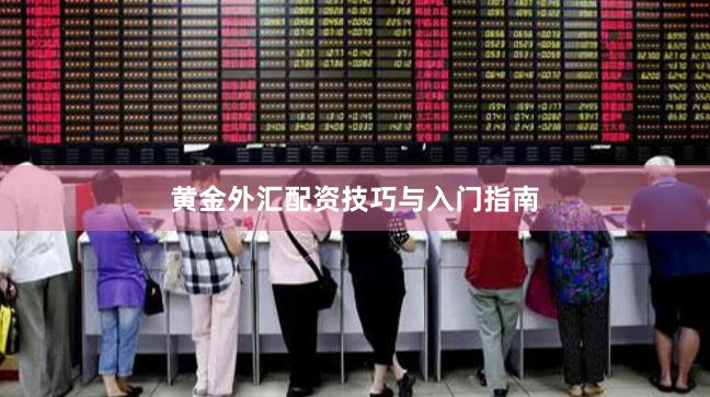 黄金外汇配资技巧与入门指南